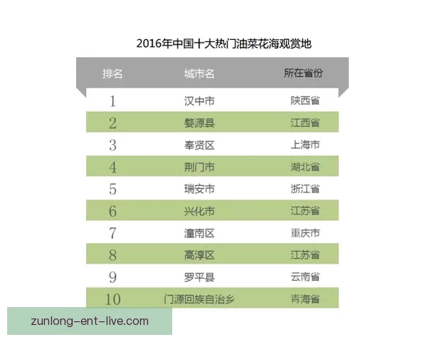 深度解析世界杯竞猜赔率数据变化趋势与投注技巧全面指南